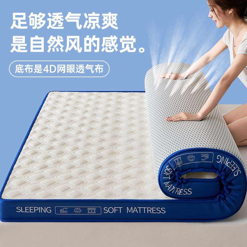2025新款春夏新款双层网眼乳胶记忆棉床垫学生宿舍榻榻米专用床垫