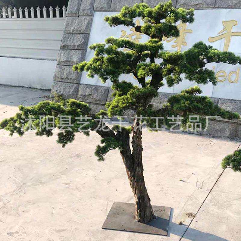 松树盆景罗汉松树庭院大型迎客松树盆景装饰摆件松