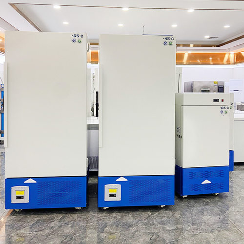 大型工业冰箱228L350L 食品加工海鲜速冻超低温冷藏箱 实验室冰箱