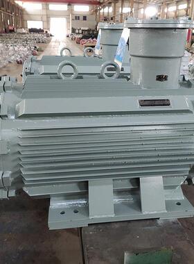 气体和粉尘防爆双防爆电机ExdbIICT4Gb/ExtbIIICT130℃