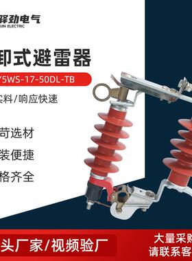 10KV可卸式避雷器HY5WS-17/50DL-TB跌落式令克开关户外高压防雷