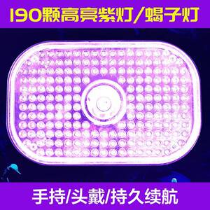 190颗紫光灯珠led头戴蝎子灯长续航照豆虫灯手提两用超亮专用灯