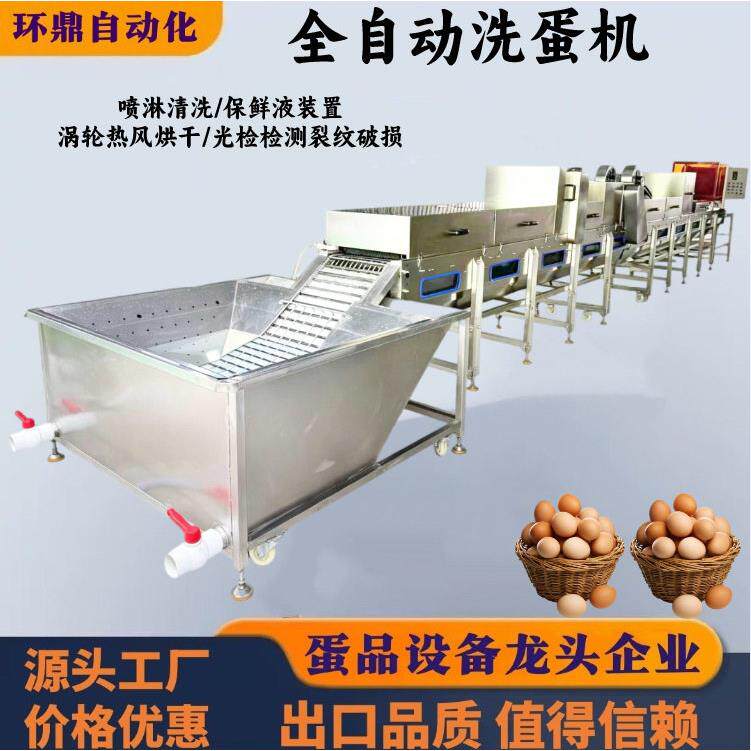 多排洗蛋机全自动大型蛋厂养殖场鸡鸭蛋去泥光检机裹泥蛋清洗烘干