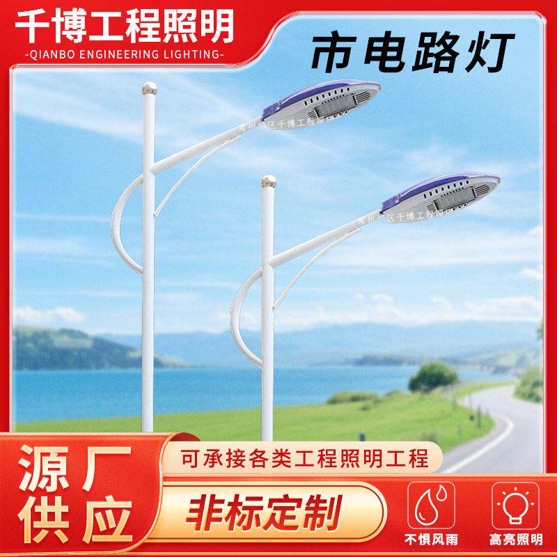 LED市电路灯户外市政道路照明杆灯5米超亮杆双头臂市电路灯