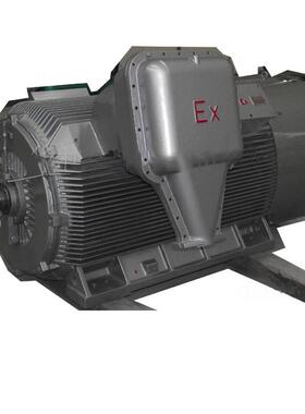 南洋异步电机YB3系列(H355-630)高压隔爆型电机6V10V