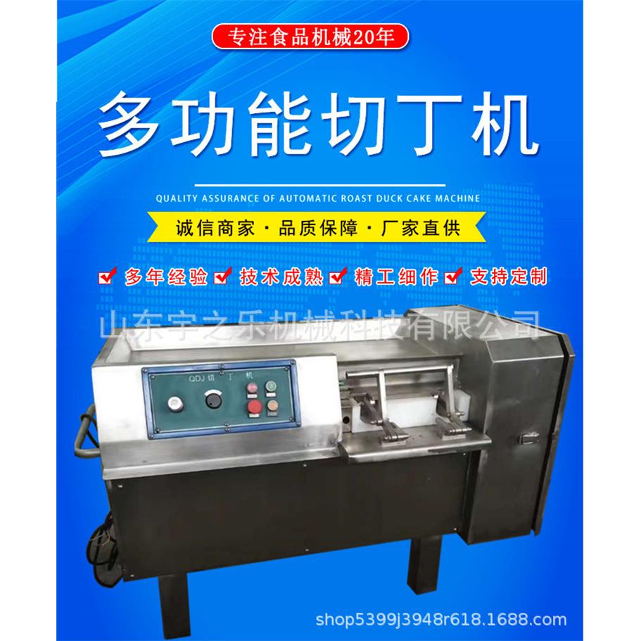 厂家供应切丁机小型冰冻脂切丁设备商用不锈钢牛肉粒切丁机