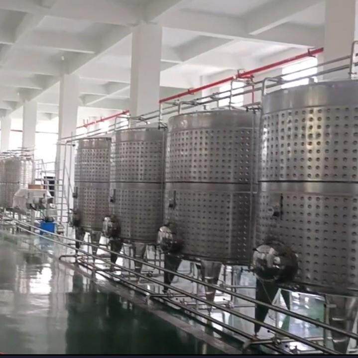 蓝莓酒加工设备 带皮渣分离机 PLC智能控温发酵罐 果酒灌装生产线