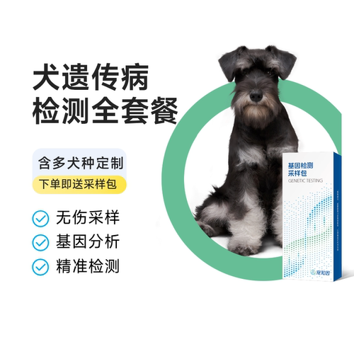 宠知因边境牧羊犬遗传病基因检测