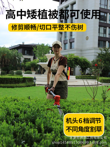 高枝电动绿篱机加长杆绿篱修剪机背负式绿化修枝剪修剪树枝高枝锯