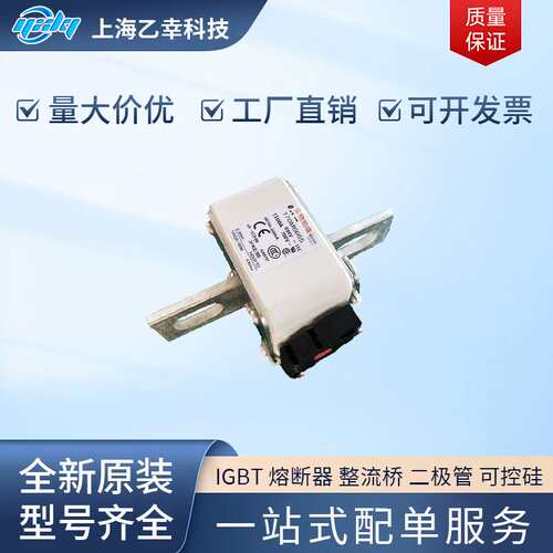 巴斯曼熔断器170M6749 170M6750 170M6751 170M6752 170M6755