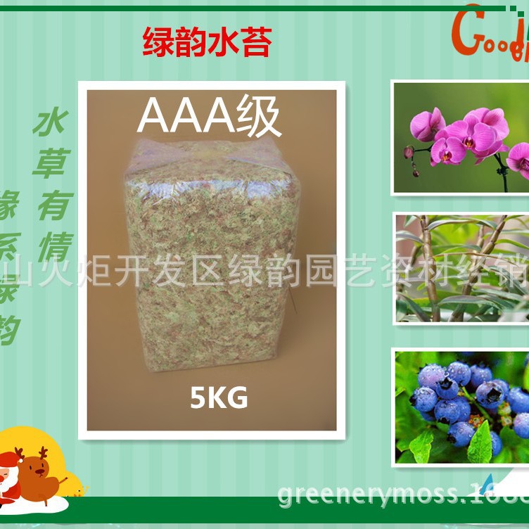 国产AAA级水苔5KG兰科垫材