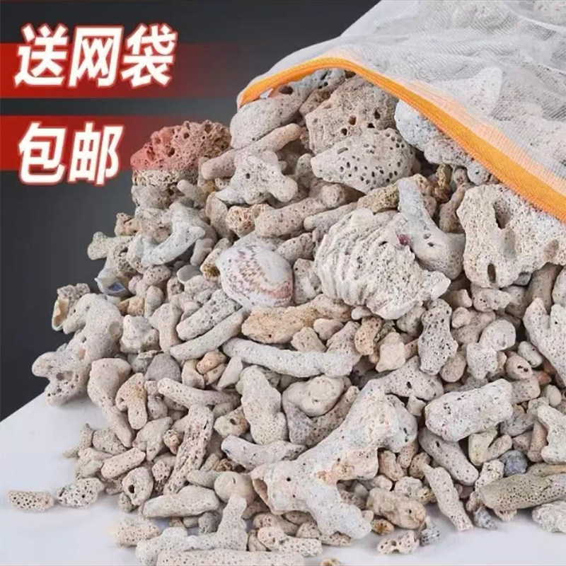 天然珊瑚骨优质鱼池鱼缸滤材净水龙鱼过滤材料造景大块珊瑚砂石图片