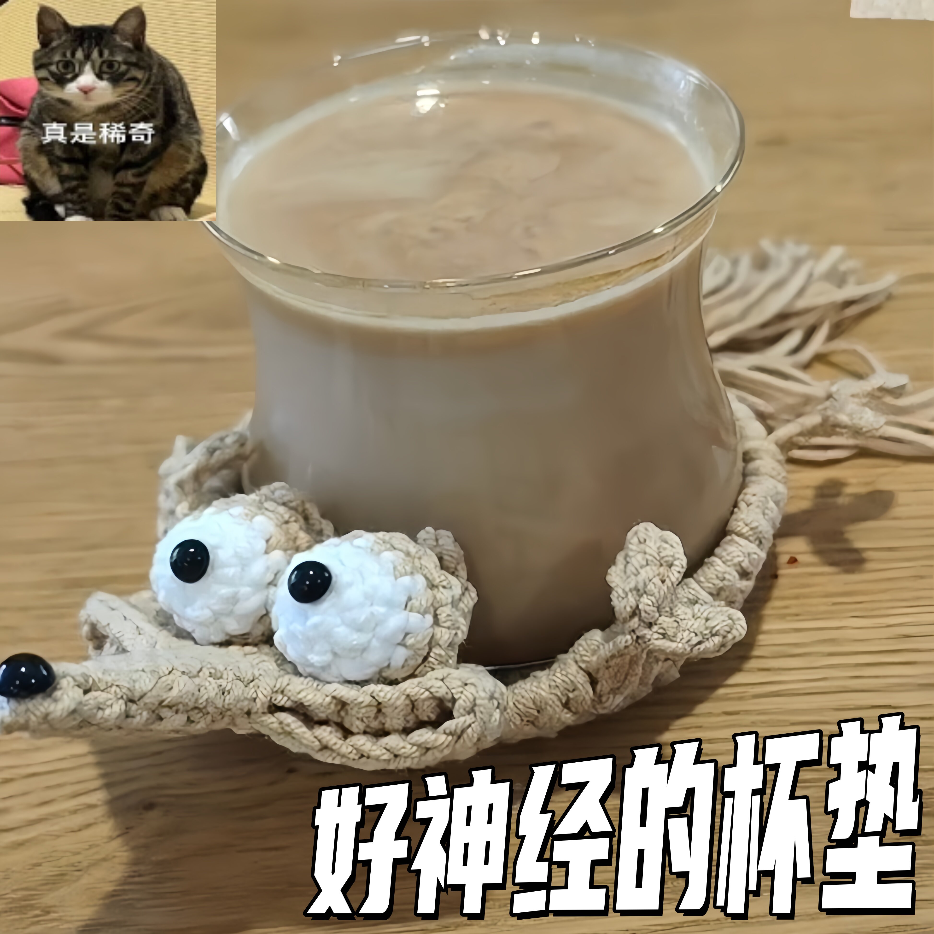【班味解除神器】松鼠杯垫图片
