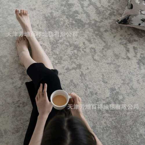 土耳其丙纶客厅地毯高级灰色沙发茶几毯极简现代轻奢满铺卧室毯