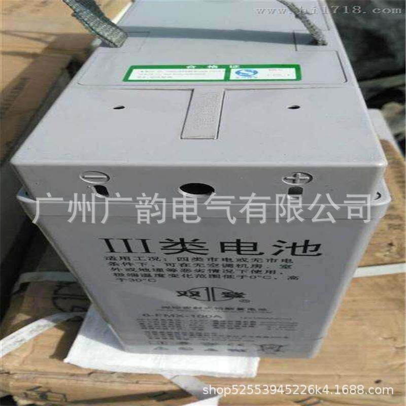 双登狭长蓄电池6-FMX-100B 双登免维护直流屏柜用12V100AH蓄电池