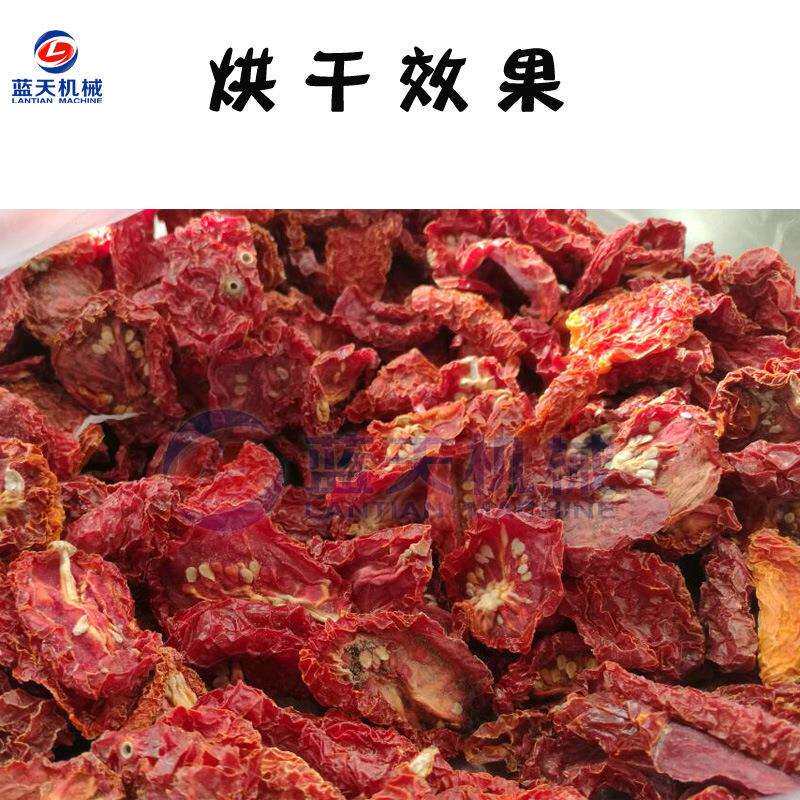 樱桃番茄烘干房 大型千禧果小西红柿水果脯烘干设备 圣女果烘干机
