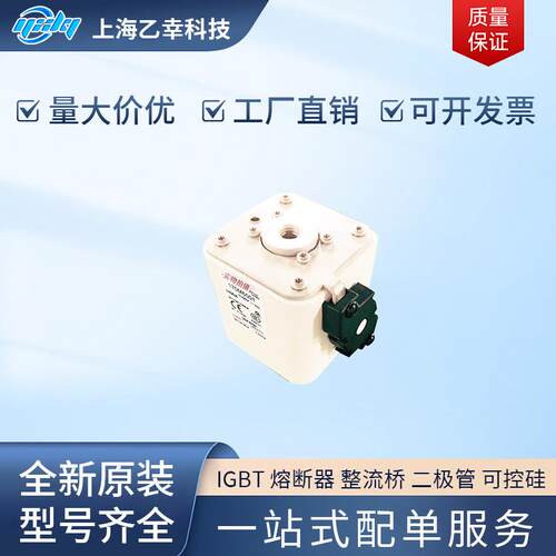 巴斯曼熔断器 170M6544 170M6545 170M6546 170M6547 170M6548