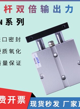 双轴双杆气缸TN16x10X15X20X30X40X50X60-75-100/125/150/175-S