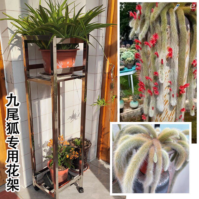 九尾狐不锈钢立式花架盆景底座加厚支架花盆凳子托架吊兰置物架