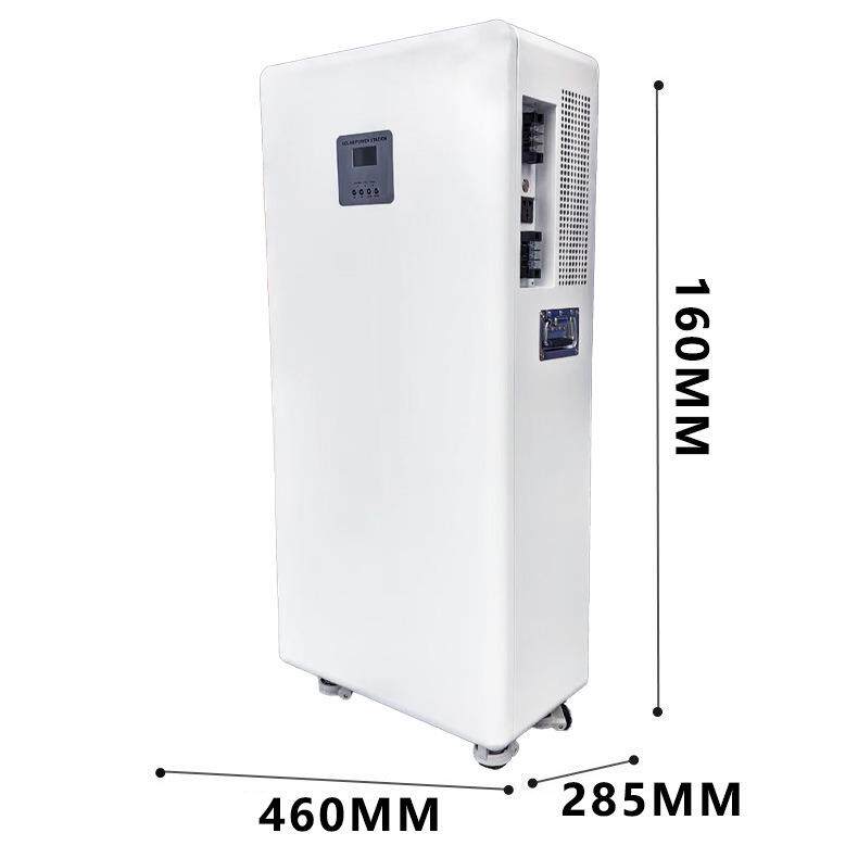光储一体家庭微电站500W太阳能家庭供电用电光伏发电池1000WH全套