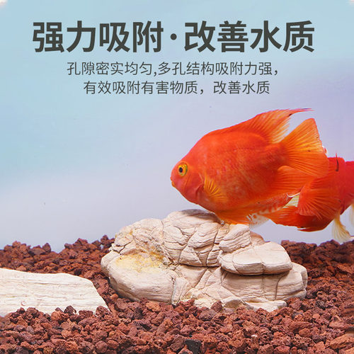 火山石鱼缸造景底砂装饰沙石头乌龟滤材铺底专用水草泥火山岩颗粒