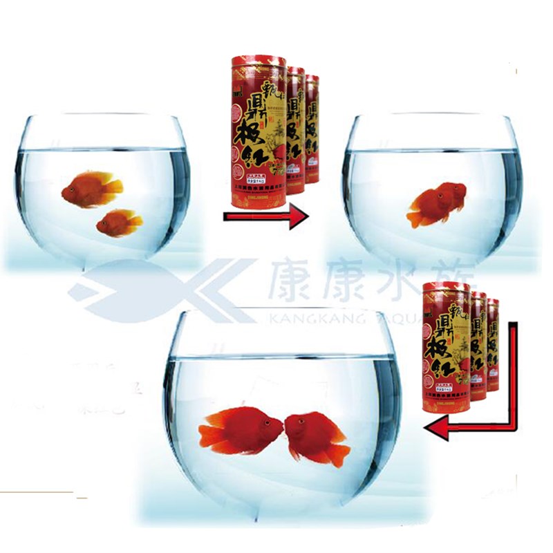 润色血鹦鹉鱼食增色饲料热带鱼观赏招财鱼粮水族鱼饲料小颗粒专用