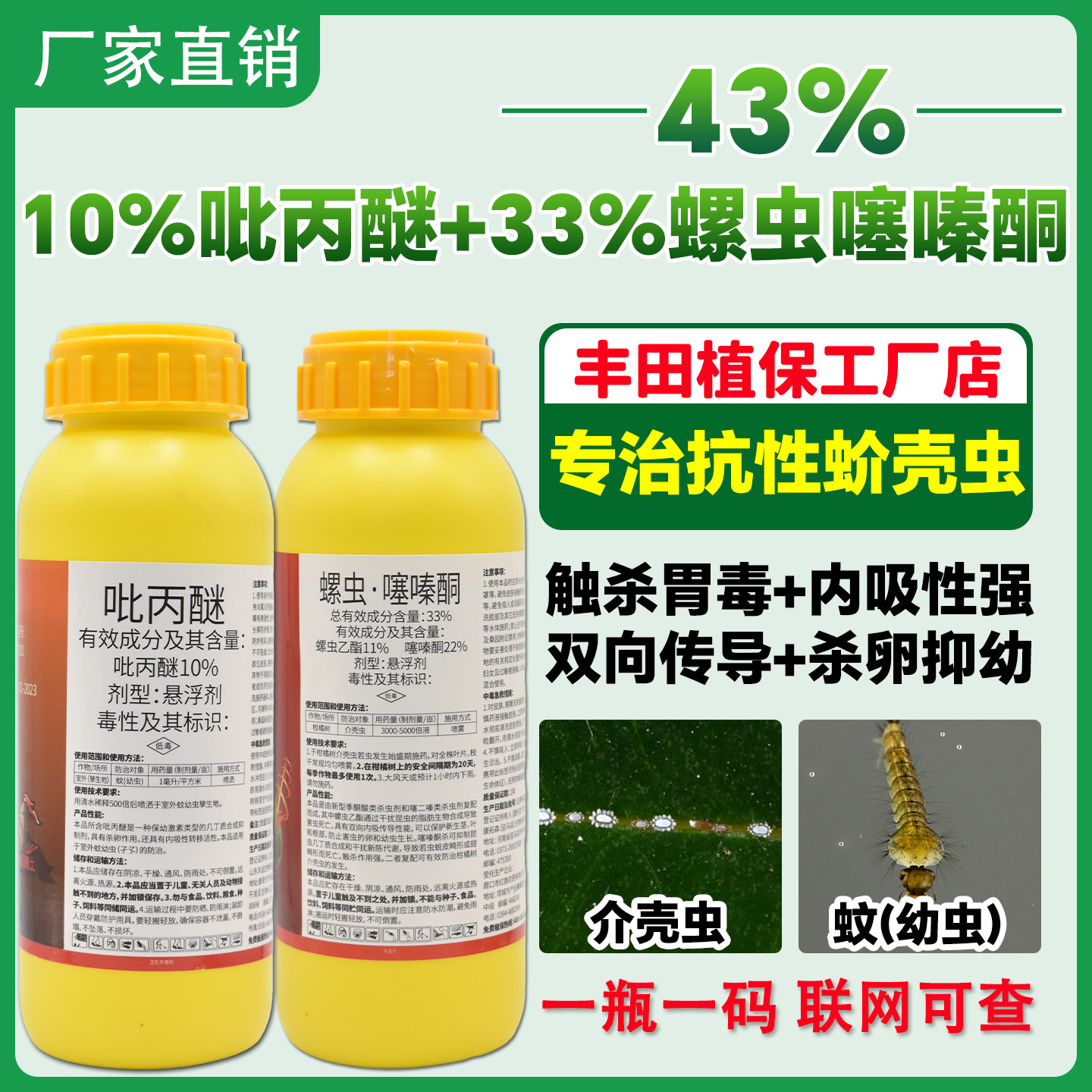 正品柑橘蚧壳虫药虫卵双杀杀虫剂