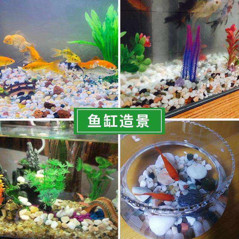 七彩石头彩色小石子多肉铺面石鱼缸造景植物园艺花盆栽装饰小石子