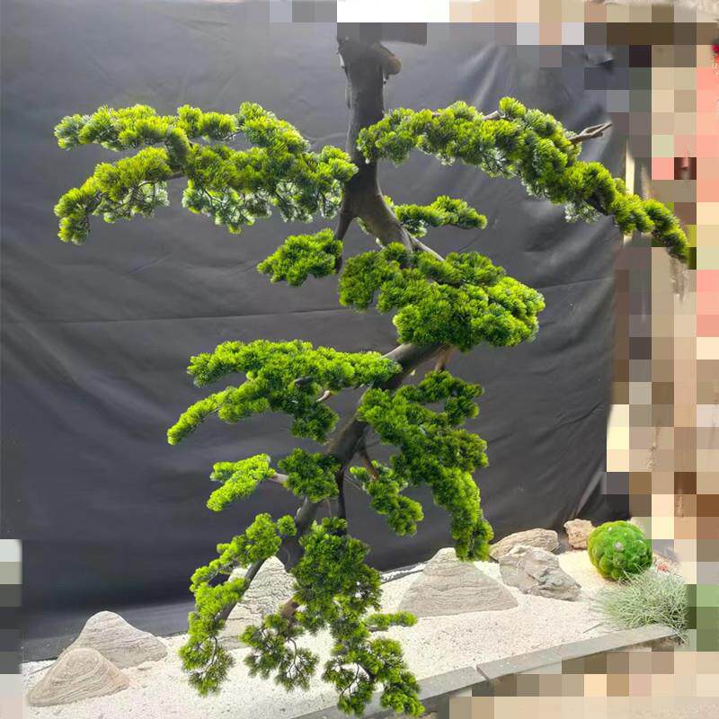 新款悬挂倒挂式松树室内造景套装装饰仿真树实木橱窗摆放景观造型