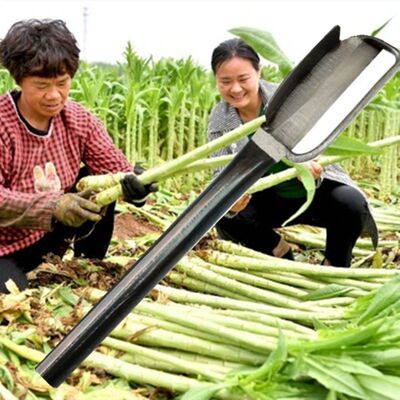 【下单立减20】新品莴笋专用削皮刀莴苣削贡菜苔干刨莴笋去皮刀