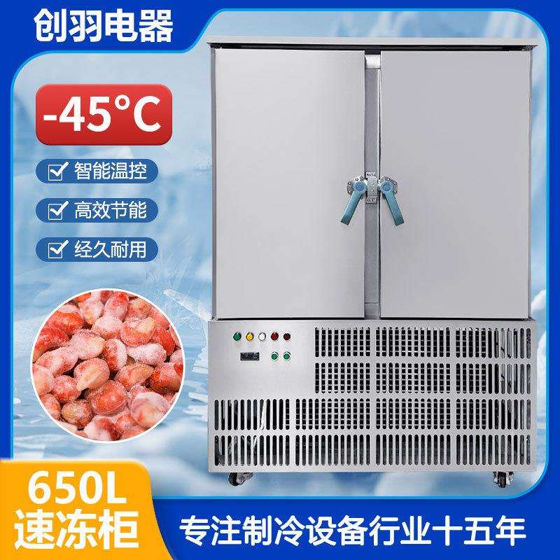 广东佛山创羽低温冷冻柜饺子馒头海鲜商用20盘大型食品速冻机