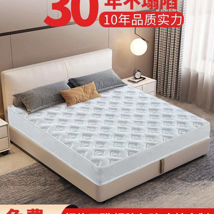弹簧床垫经济型软硬两用20cm厚1.5米席1.8m梦思乳胶椰棕家用天然