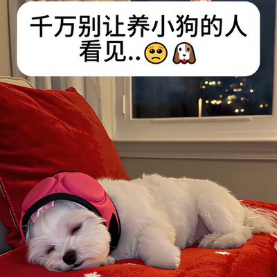 狗狗安抚护耳帽保暖防水减噪