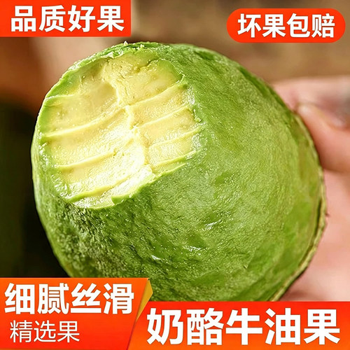 当季新货  新品上市  品质好