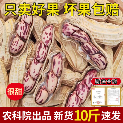 【新云南七彩花生】晒干带壳批发