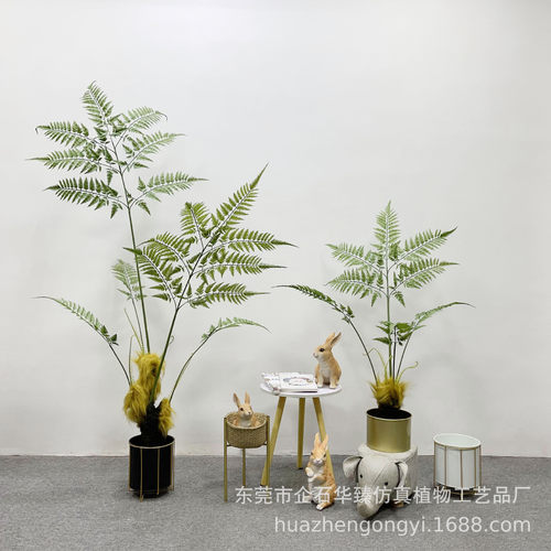 仿真猴头蕨 金丝蕨假绿植盆栽蕨类室内禅意仿真植物造景装饰摆件