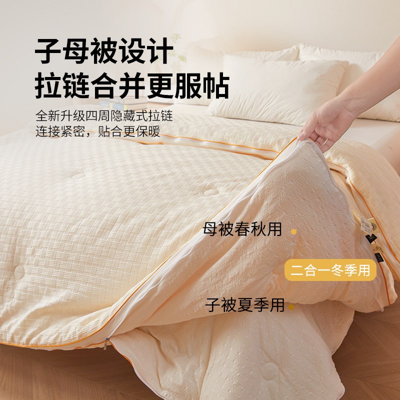 大豆被二合一子母被拉链款春秋被子冬被冬季棉被被芯单人学生宿舍