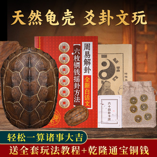 天然乌龟壳文玩六爻摇卦工具真龟甲乾隆铜钱六十四卜算卦用品摆件