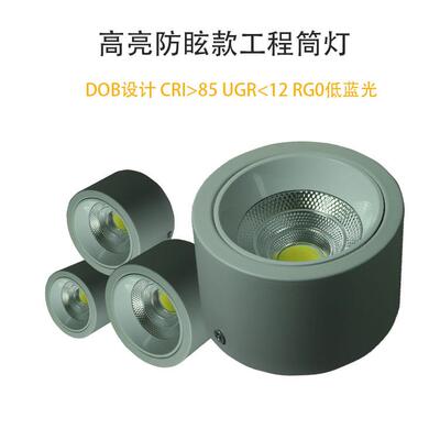 Ceiling Light明装DOB高显筒灯防眩吸顶无主灯4寸5寸6寸8寸筒灯