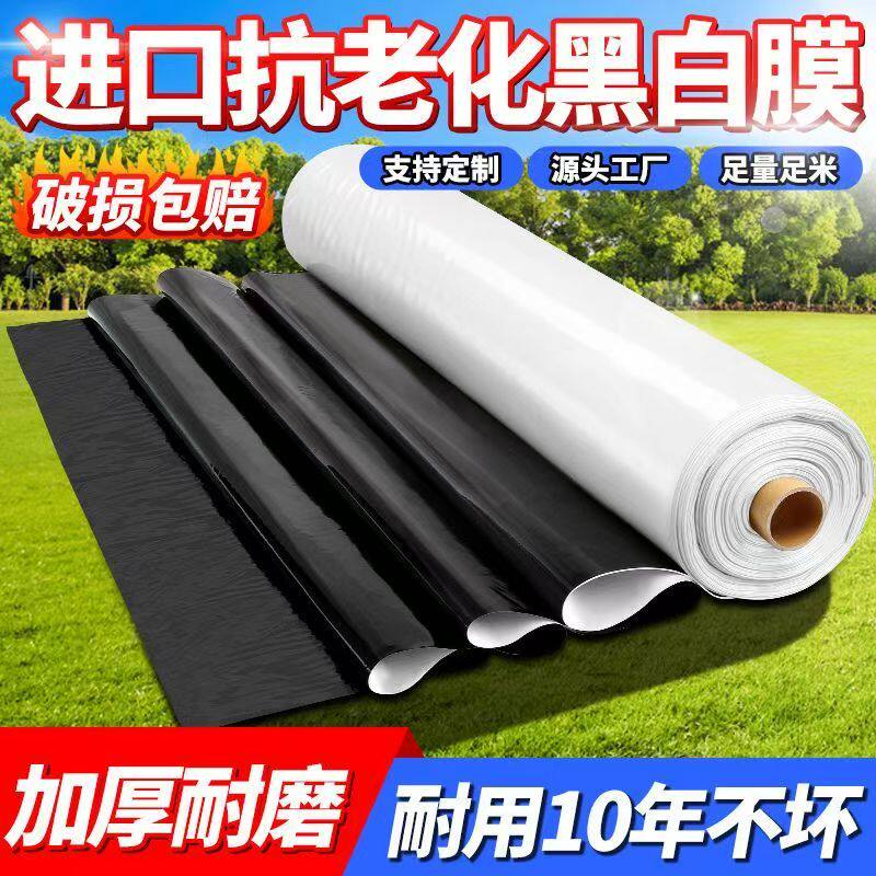 韩冠聚乙烯隔热降温长寿黑白膜厂