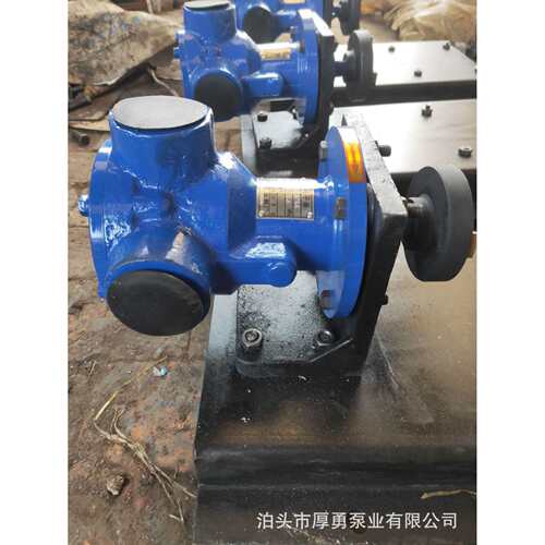 厚勇直供 高粘度树脂转子泵 高粘稠物料齿轮泵 涂料油漆化工泵