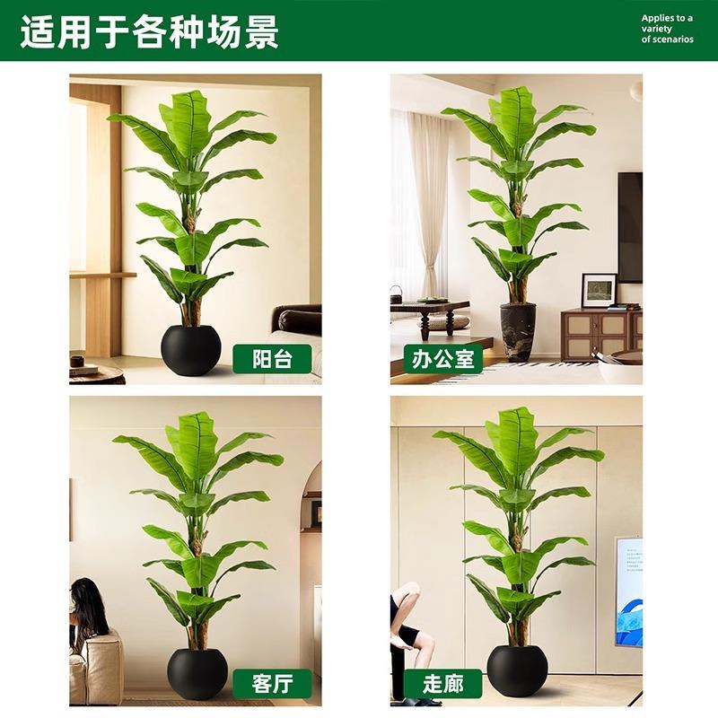 仿真大叶芭蕉树香蕉树热带景观植物落地绿植假树室内客厅摆件大型