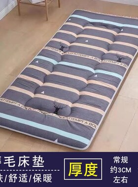 学生宿舍床垫70x170上下铺60x110垫被90x190/200x120/150cm可折叠