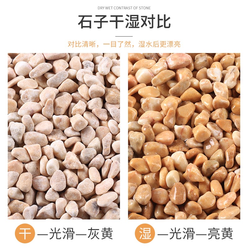 黄色石子铺地胶粘石水洗米石枯山水石子造景装饰小天然水磨石石子