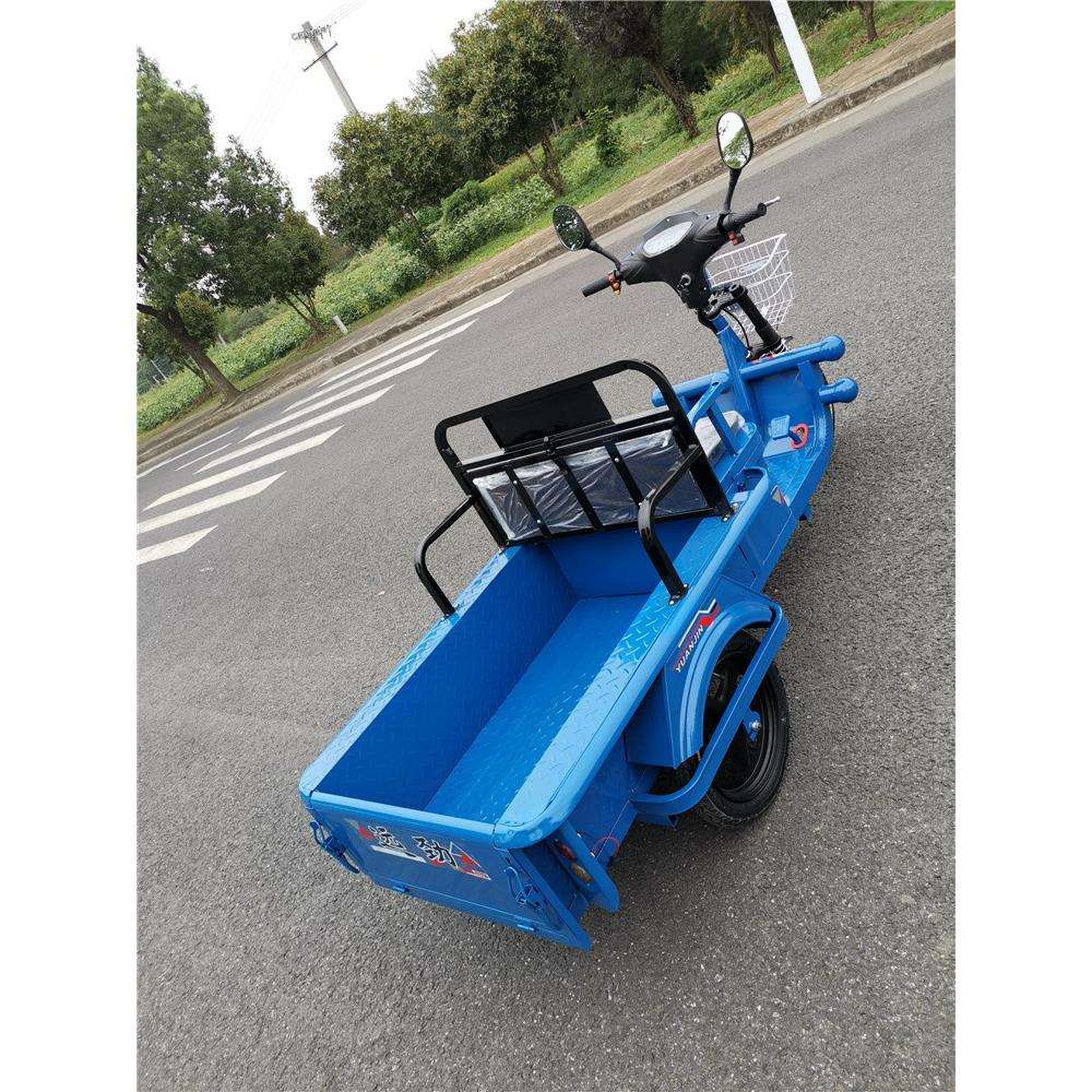 电动三轮车货车新款家用电瓶三轮车成人代步车载重小货运平板车
