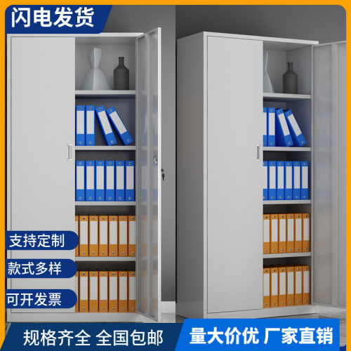 钢制文件柜办公柜资料收