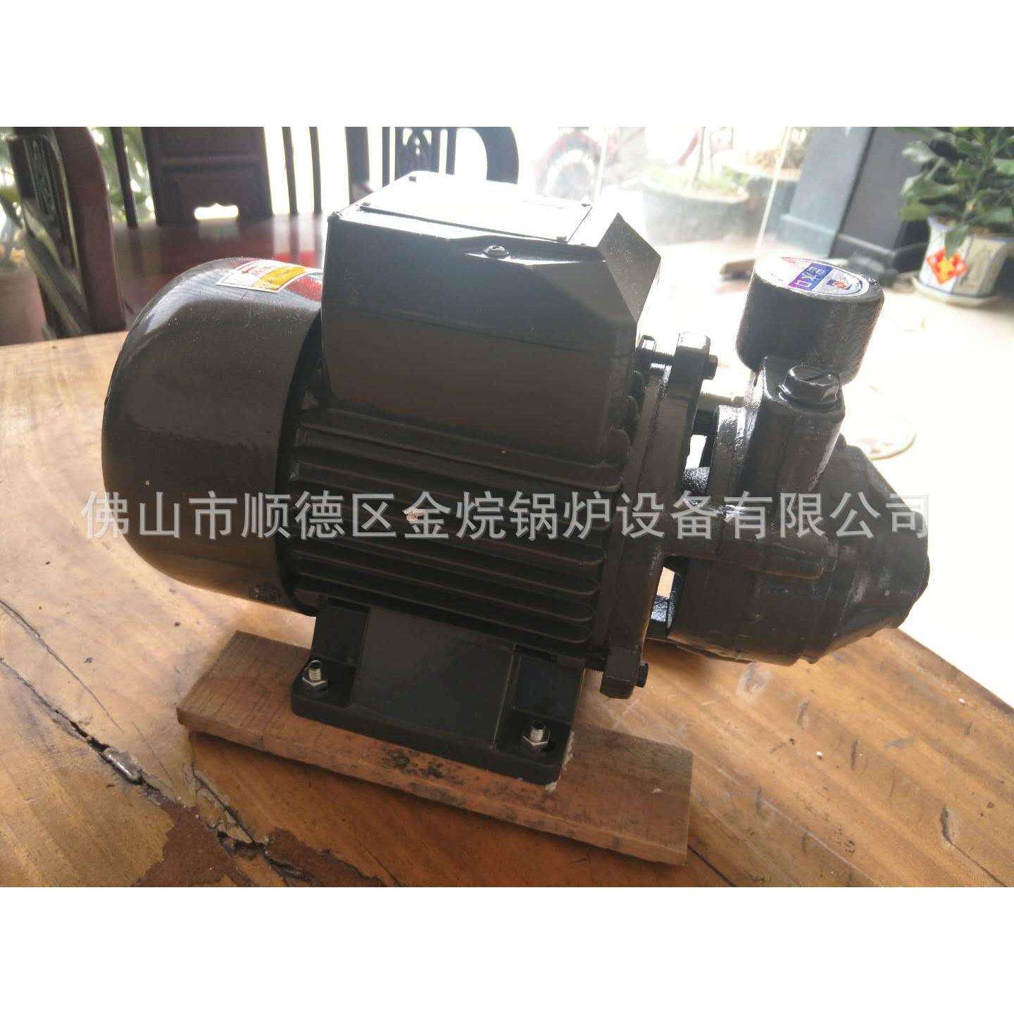 蒸汽发生器配件家用旋涡泵 750W锅炉补水泵 750W高压水泵多级泵