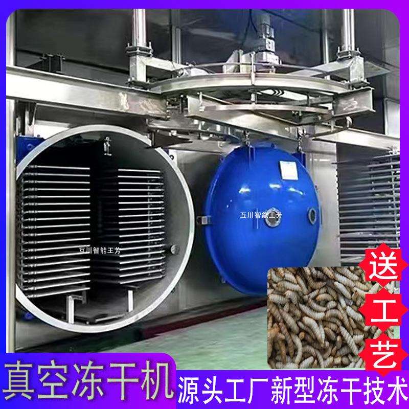 全自动蔬菜西芹真空冻干机 大型猕猴桃柠檬金桔芒果片商用冻干设