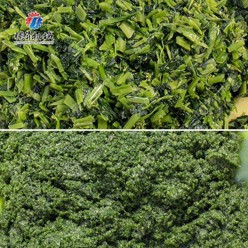 多功能切碎机 家用蔬果肉类全自动切碎机 不锈钢蒜蓉切碎机 碎肉