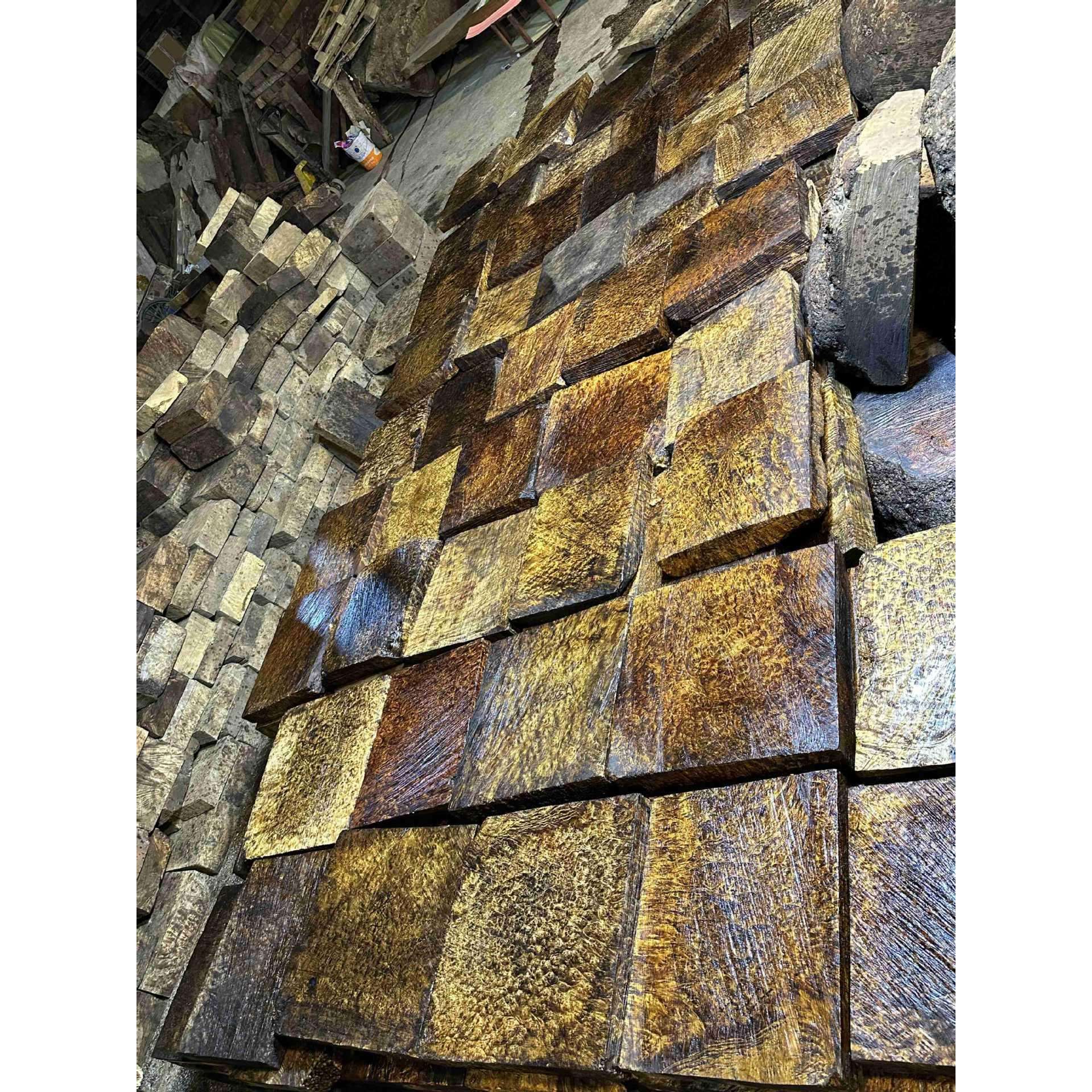 黄金樟木满树瘤木皮料 家具料 工艺品料 瘿木料 山香果木树瘤料